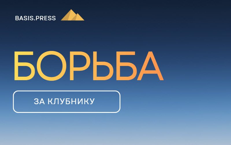 Клубничные конкуренты